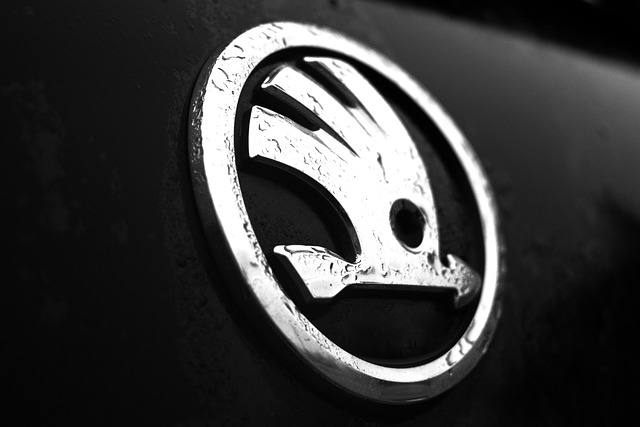 logo škoda auto